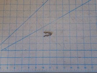 Retainer Clip - Uncategorized