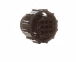 Plug - Electrical