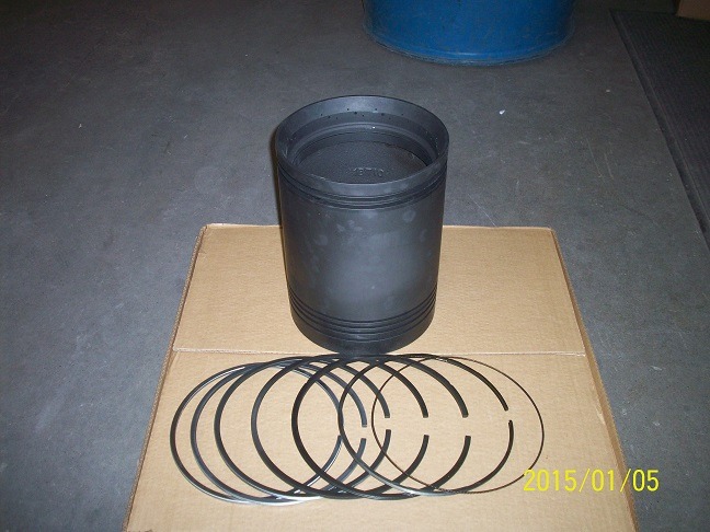 Piston Assembly Standard Diameter Includ - Uncategorized