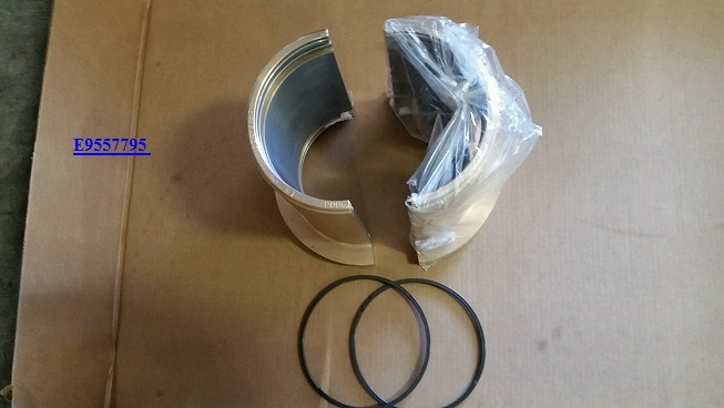 Bearing, Support - Electrical Rotating - Traction Motor