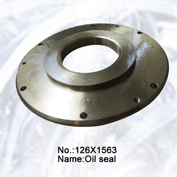 Oil Seal - Seals, O-Rings & Gaskets