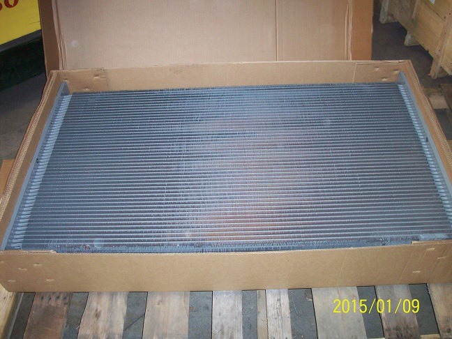 Radiator Core Segment Special Circuit 1  - Heat Exchanger